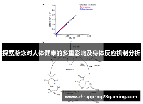 探索游泳对人体健康的多重影响及身体反应机制分析 探索游泳对人体健康的多重影响及身体反应机制分析