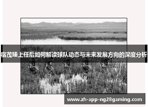 宿茂臻上任后如何解读球队动态与未来发展方向的深度分析