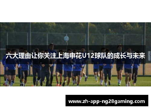 六大理由让你关注上海申花U12球队的成长与未来