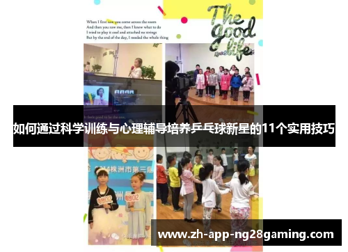 如何通过科学训练与心理辅导培养乒乓球新星的11个实用技巧 如何通过科学训练与心理辅导培养乒乓球新星的11个实用技巧