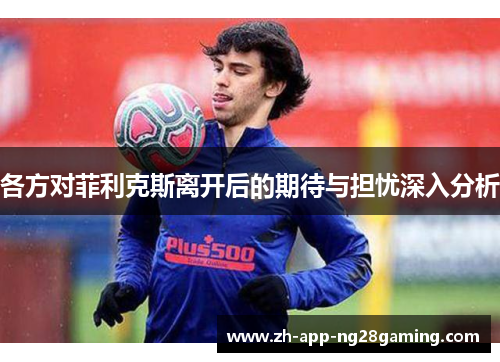 各方对菲利克斯离开后的期待与担忧深入分析