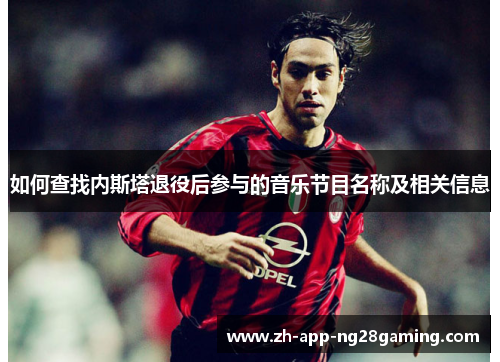 如何查找内斯塔退役后参与的音乐节目名称及相关信息