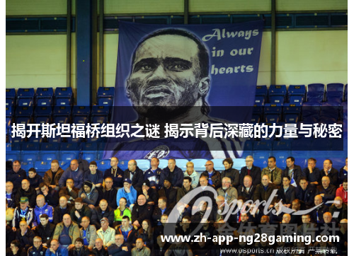 揭开斯坦福桥组织之谜 揭示背后深藏的力量与秘密