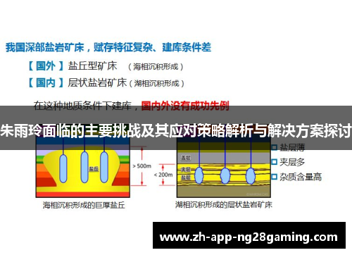 朱雨玲面临的主要挑战及其应对策略解析与解决方案探讨 朱雨玲面临的主要挑战及其应对策略解析与解决方案探讨