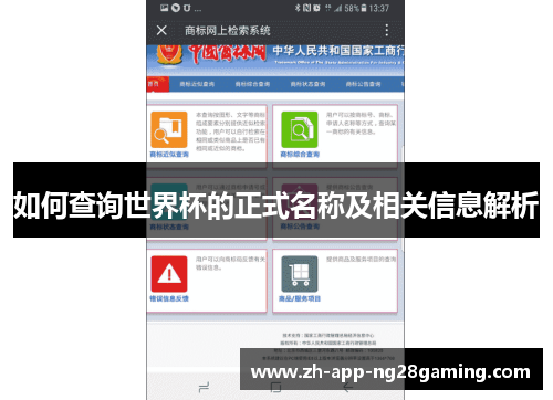 如何查询世界杯的正式名称及相关信息解析