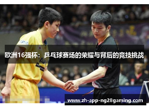 欧洲16强杯：乒乓球赛场的荣耀与背后的竞技挑战