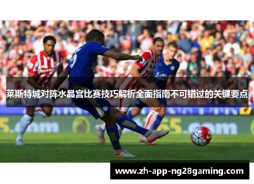 莱斯特城对阵水晶宫比赛技巧解析全面指南不可错过的关键要点 莱斯特城对阵水晶宫比赛技巧解析全面指南不可错过的关键要点