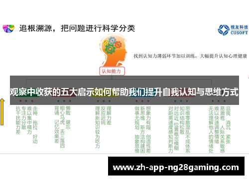 观察中收获的五大启示如何帮助我们提升自我认知与思维方式