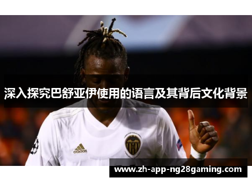 深入探究巴舒亚伊使用的语言及其背后文化背景