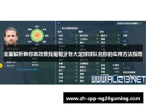 全面解析教你高效查找葡萄牙各大足球球队名称的实用方法指南