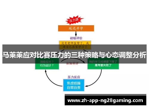 马莱莱应对比赛压力的三种策略与心态调整分析