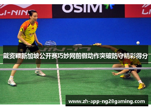 戴资颖新加坡公开赛巧妙网前假动作突破防守精彩得分