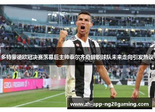 多特蒙德欧冠决赛落幕后主帅泰尔齐奇辞职球队未来走向引发热议