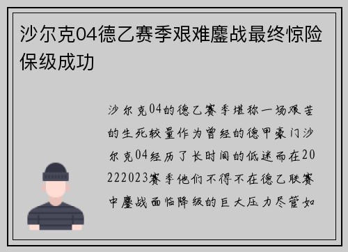 沙尔克04德乙赛季艰难鏖战最终惊险保级成功