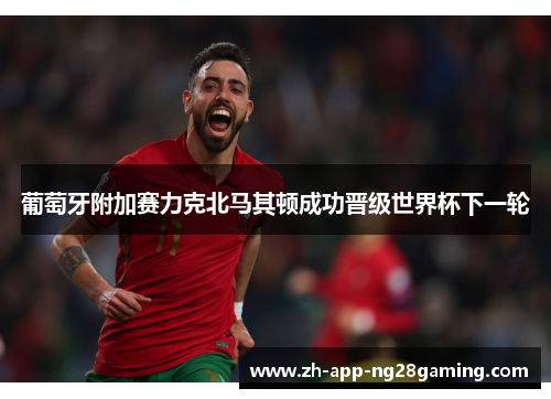 葡萄牙附加赛力克北马其顿成功晋级世界杯下一轮