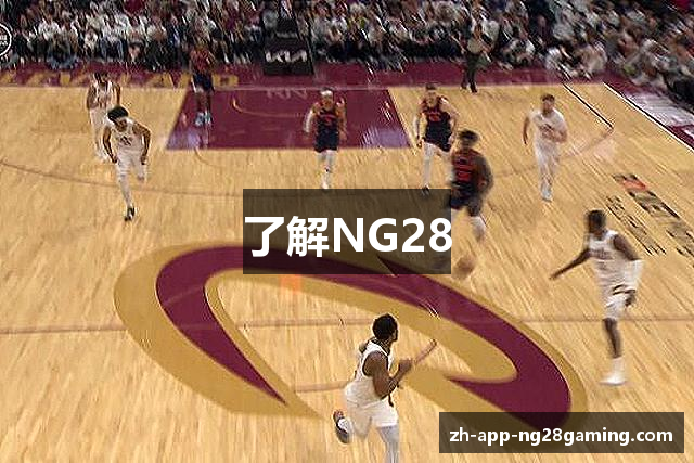 了解NG28